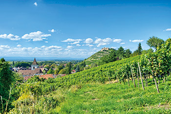 Staufen im Breisgau mit Burgruine